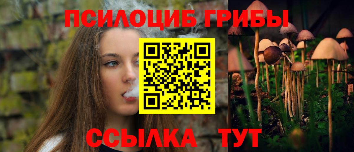 Галлюциногенные грибы Psilocybine cubensis  что такое   Тара  Вход с VPN  Псилоцибиновые грибы GOLDEN TEACHER 