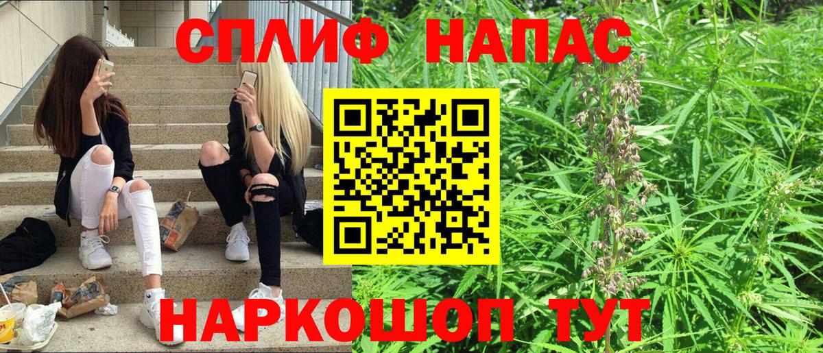 Тара  Шишки марихуана сатива  МАРИХУАНА конопля  Вход с VPN  МАРИХУАНА тримм  Конопля ГИДРОПОН 